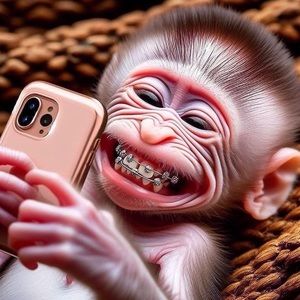 Meet your Posher, Lucas